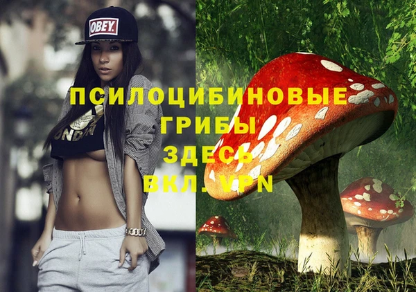 каннабис Алексеевка