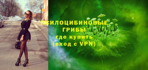 прущий лед Алексин